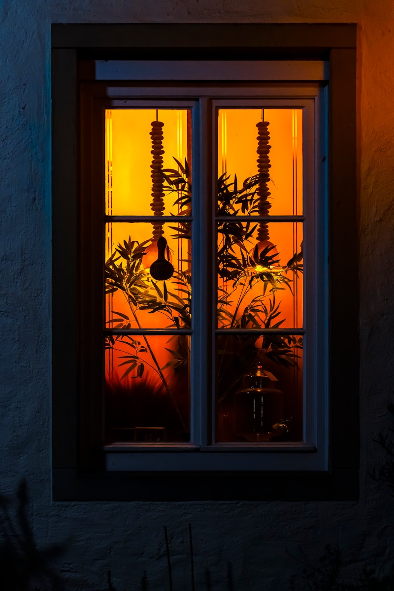 A window that has a plant in it
